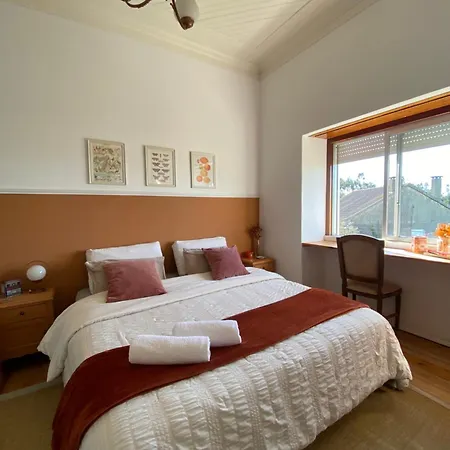 Séjour chez l'habitant Quinta José&maria Quartos